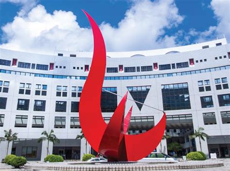 hkust course quota|Undergraduate Programs 2024.